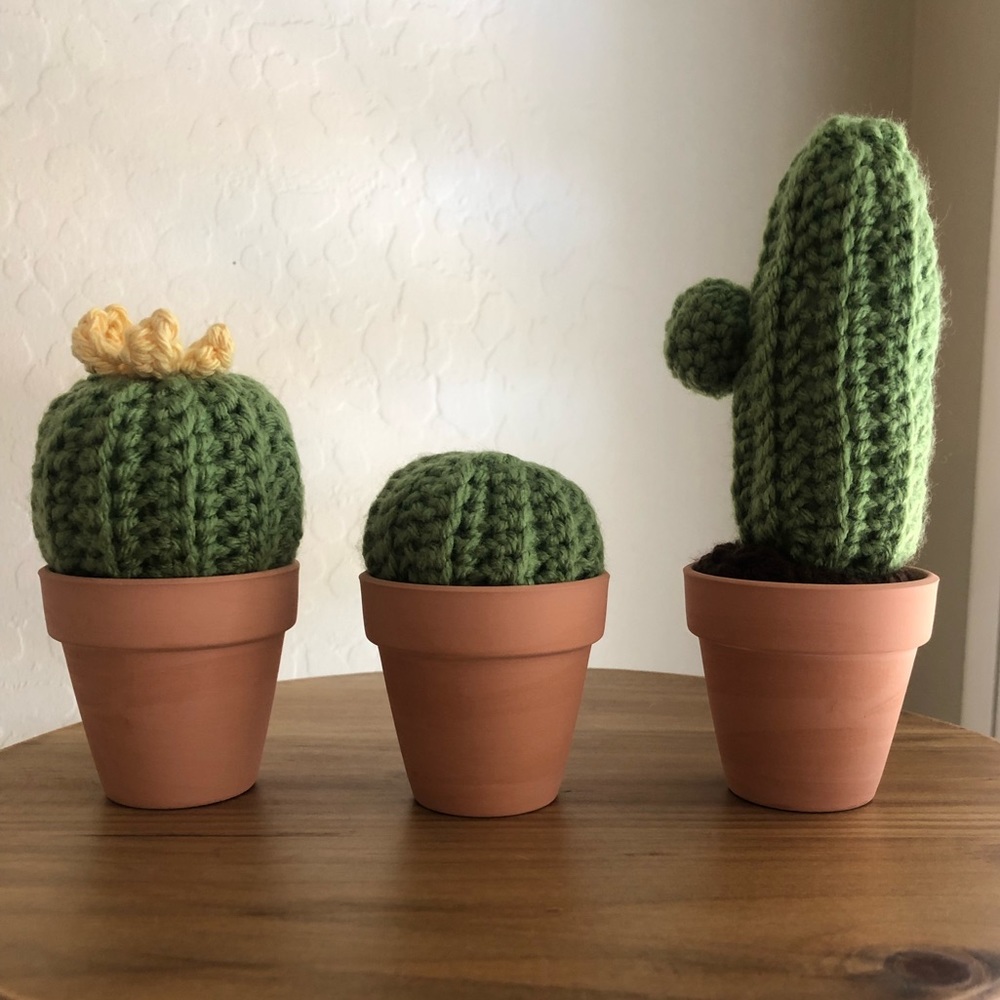 Handmade 3 piece cactus set